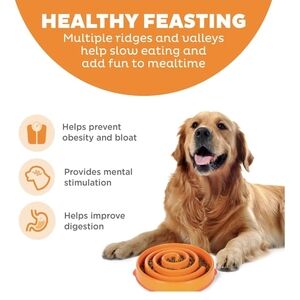 Orange Slow Feeder Dog Bowl